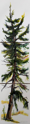 Available: "VI Fir Dance Triptych" S 2025