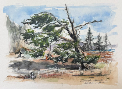 Available: "Neck Point Windswept" S25