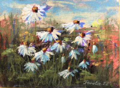 Available: The Summer Daisy Study