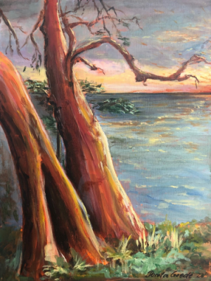 Sold: The Beachcomber Arbutus
