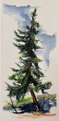 Available: "Windswept on Fairwind's First" S25'