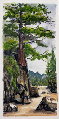 SOLD: " Visiting St. Joseph's Bay" S25'