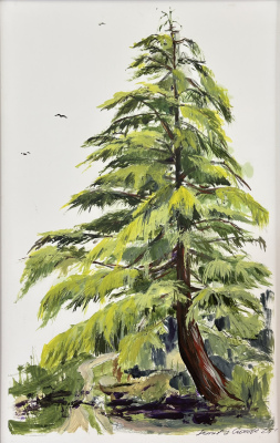 Available: "Janet's Hemlock over 12th"